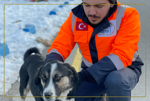 Deprem Bölgesinde Sokak Hayvanları
